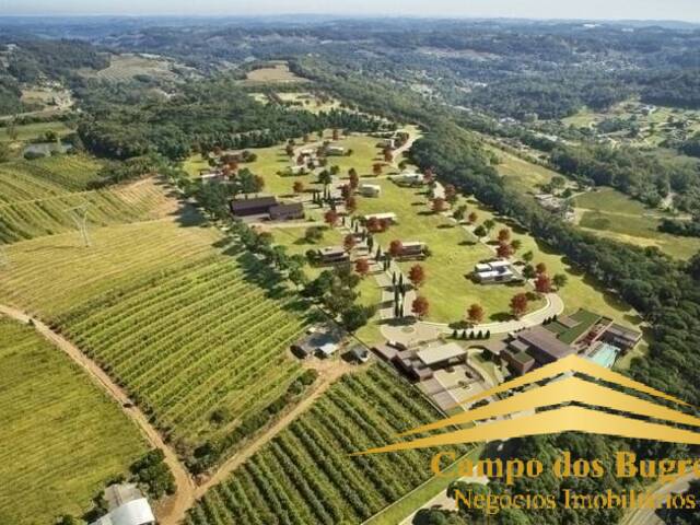 Área para Venda em Caxias do Sul - 4