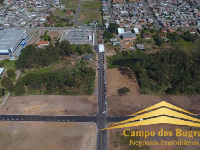 Área para Venda em Caxias do Sul - 5