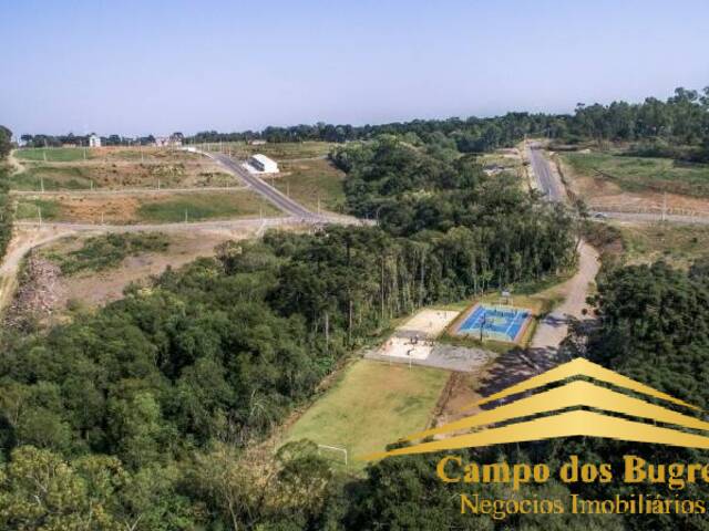 Área para Venda em Caxias do Sul - 4