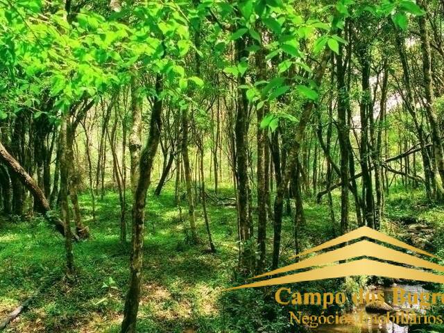 Chácara para Venda em Farroupilha - 4