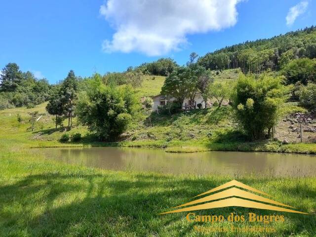 Venda em Criúva - Caxias do Sul