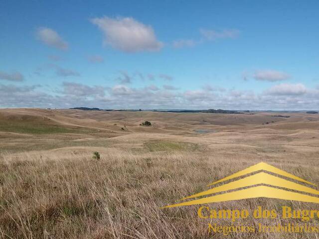 #743 - Fazenda para Venda em São Francisco de Paula - RS