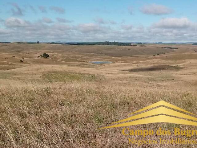 #743 - Fazenda para Venda em São Francisco de Paula - RS