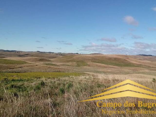 #743 - Fazenda para Venda em São Francisco de Paula - RS