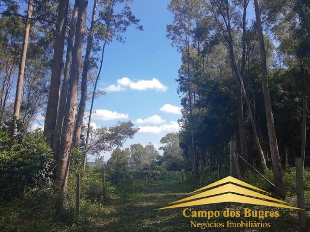 Chácara para Venda em Caxias do Sul - 5