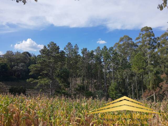 Venda em Terceira Légua da Colonização - Caxias do Sul