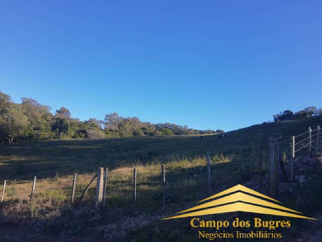 Chácara para Venda em Caxias do Sul - 4