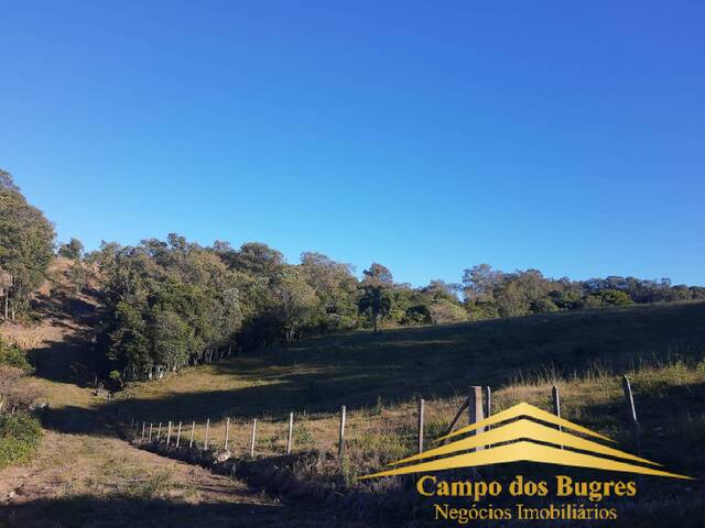 Chácara para Venda em Caxias do Sul - 5