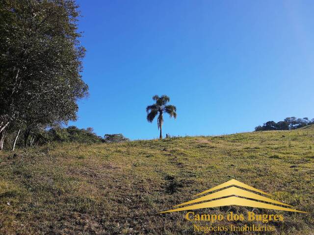 #793 - Chácara para Venda em Caxias do Sul - RS