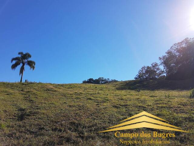 #793 - Chácara para Venda em Caxias do Sul - RS