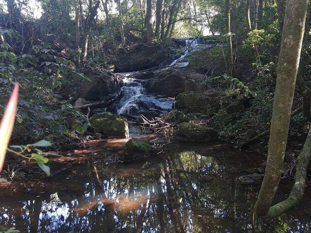 Chácara para Venda em Caxias do Sul - 4