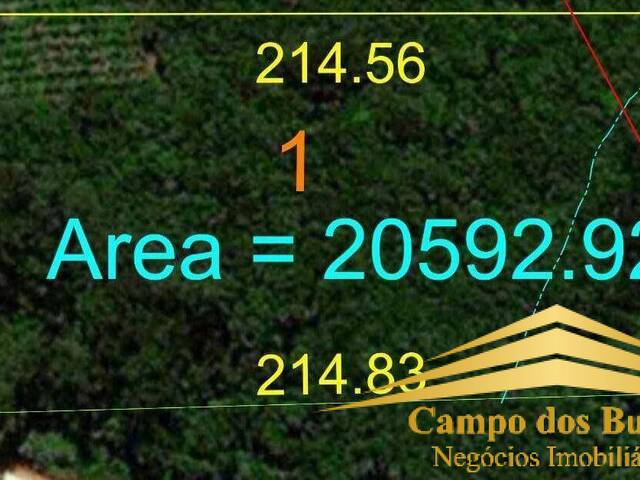 Chácara para Venda em Caxias do Sul - 5