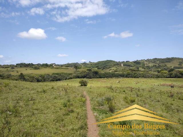 Fazenda para Venda em Caxias do Sul - 2