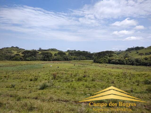 Fazenda para Venda em Caxias do Sul - 3