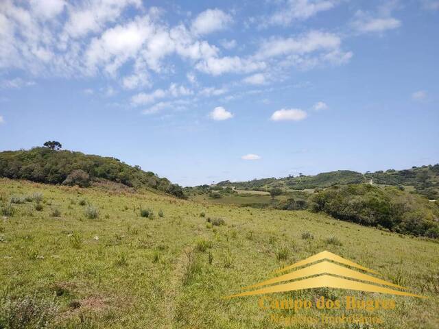 Fazenda para Venda em Caxias do Sul - 4
