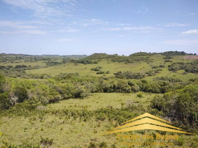 Fazenda para Venda em Caxias do Sul - 5