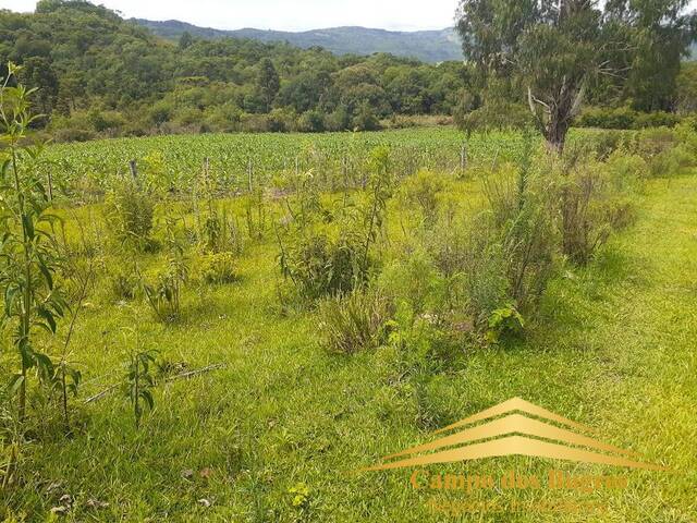 #826 - Fazenda para Venda em Jaquirana - RS