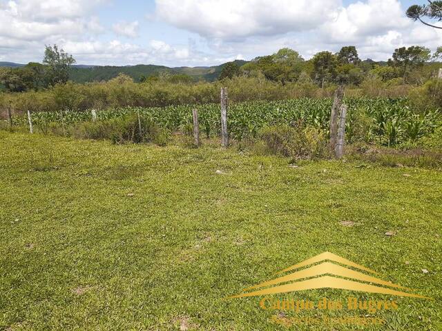 #826 - Fazenda para Venda em Jaquirana - RS