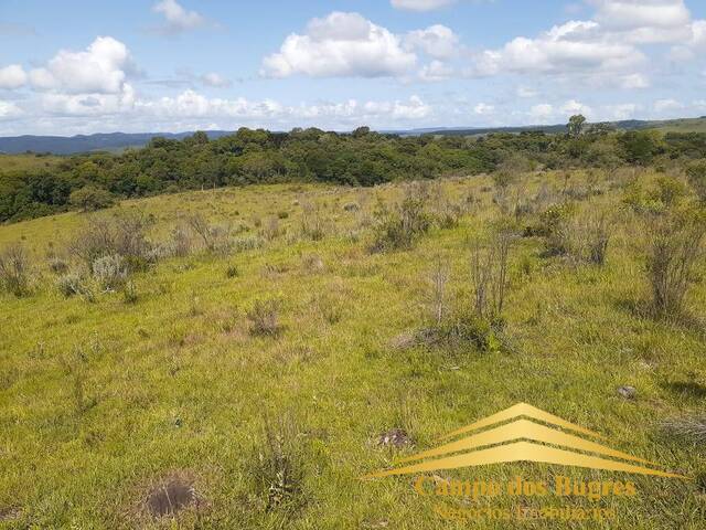 #826 - Fazenda para Venda em Jaquirana - RS