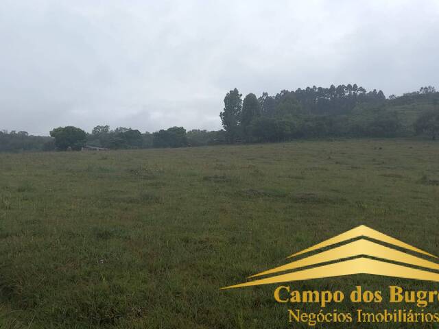 Chácara para Venda em Caxias do Sul - 4