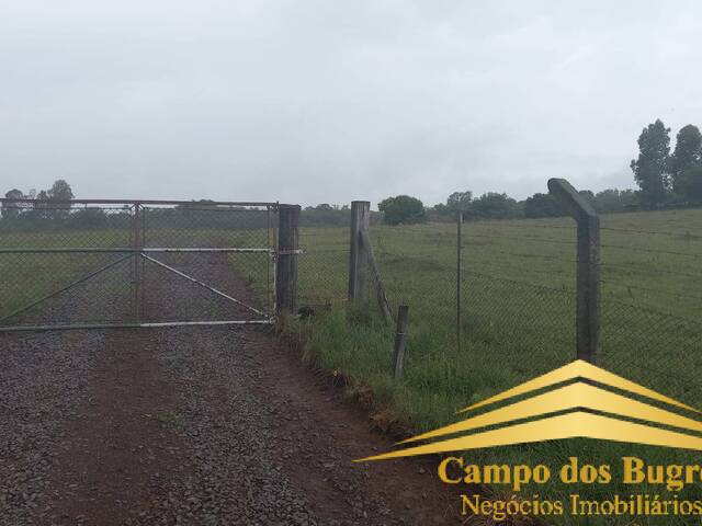 Chácara para Venda em Caxias do Sul - 5