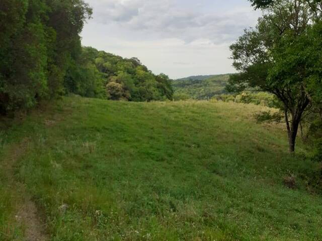 Venda em Fazenda Souza - Caxias do Sul