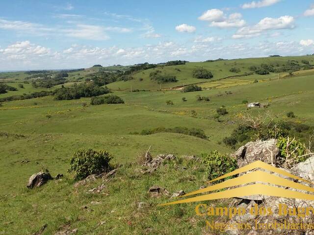 Venda em Criúva - Caxias do Sul