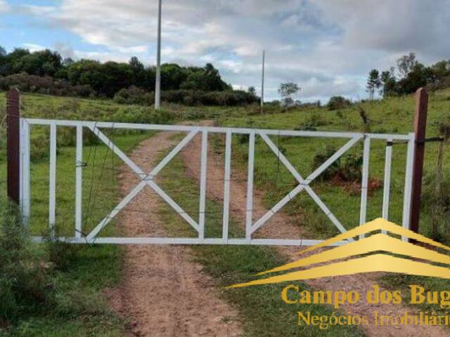 Chácara para Venda em Caxias do Sul - 4