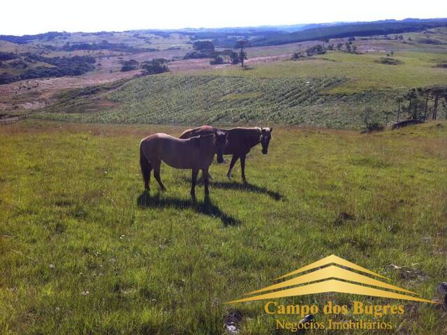 Venda em Criúva - Caxias do Sul