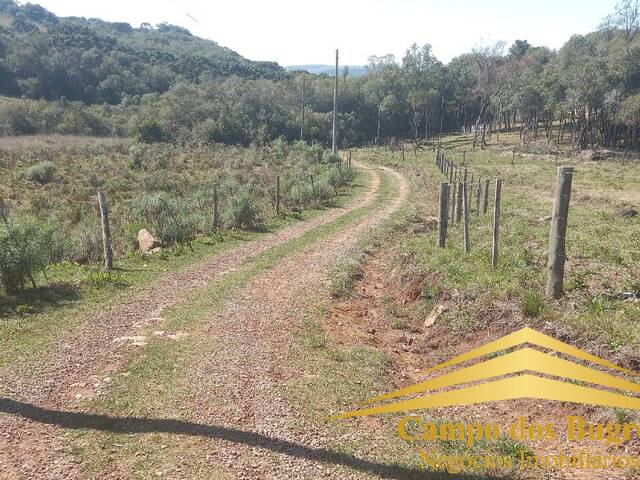 Venda em Criúva - Caxias do Sul