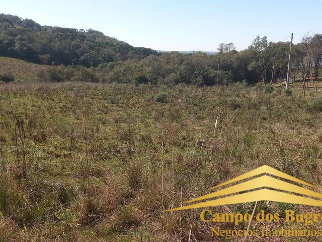 Chácara para Venda em Caxias do Sul - 4