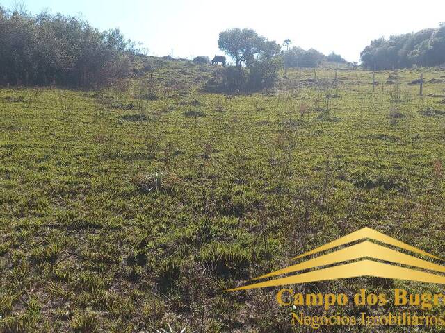 Chácara para Venda em Caxias do Sul - 5