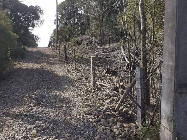 Chácara para Venda em Caxias do Sul - 4