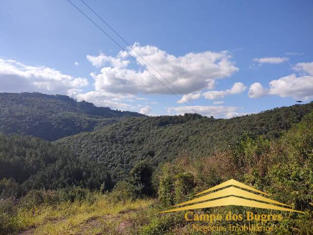 Chácara para Venda em Caxias do Sul - 4