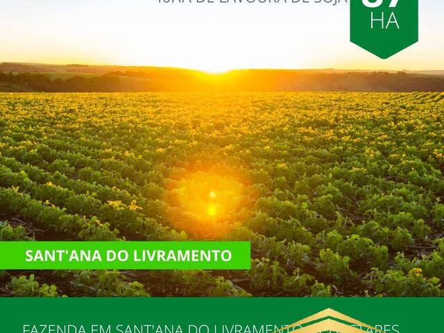 #858 - Fazenda para Venda em Santana do Livramento - RS