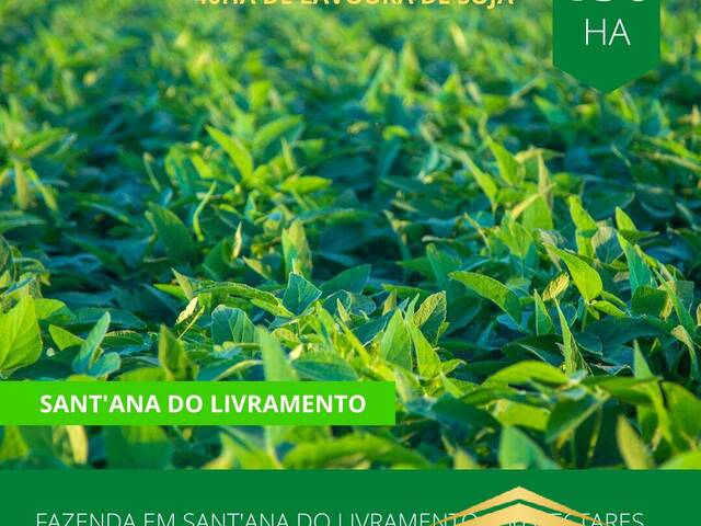 #859 - Fazenda para Venda em Santana do Livramento - RS