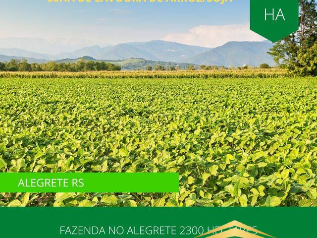 #861 - Fazenda para Venda em Alegrete - RS