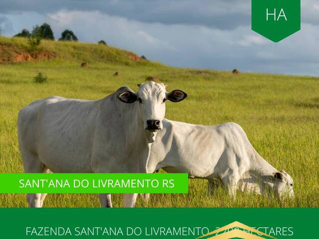 #864 - Fazenda para Venda em Rosário do Sul - RS