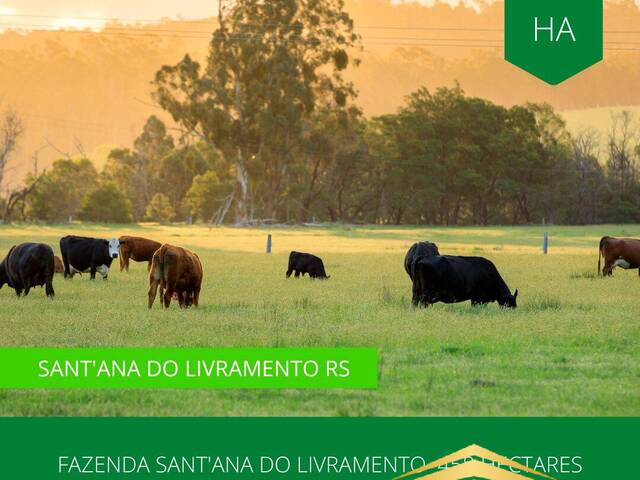 #865 - Fazenda para Venda em Santana do Livramento - RS