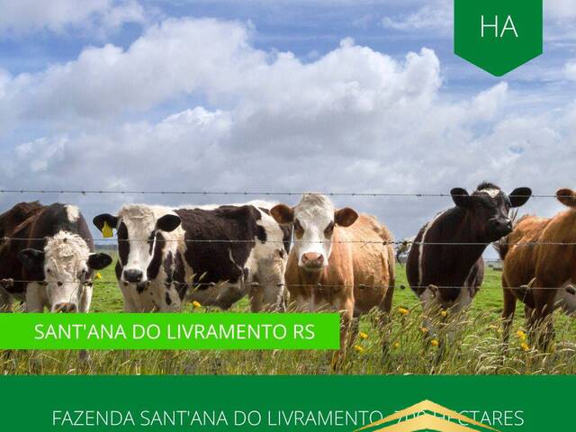 #866 - Fazenda para Venda em Santana do Livramento - RS