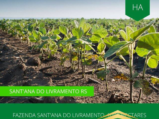 #867 - Fazenda para Venda em Santana do Livramento - RS