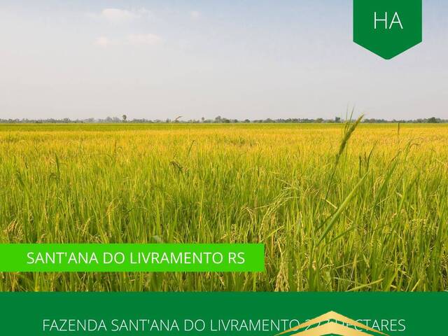 #868 - Fazenda para Venda em Santana do Livramento - RS