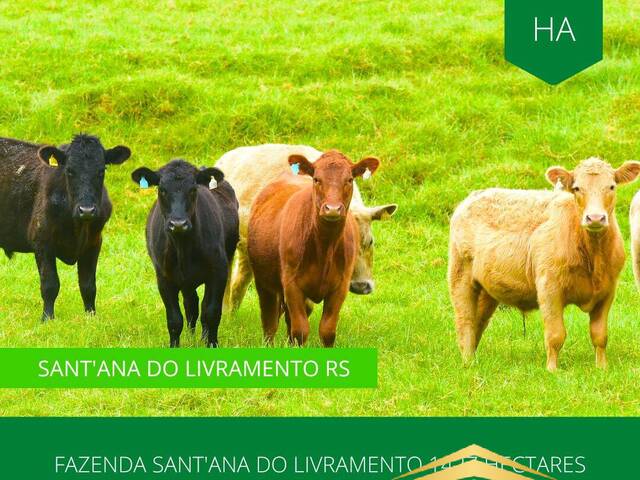 #869 - Fazenda para Venda em Santana do Livramento - RS