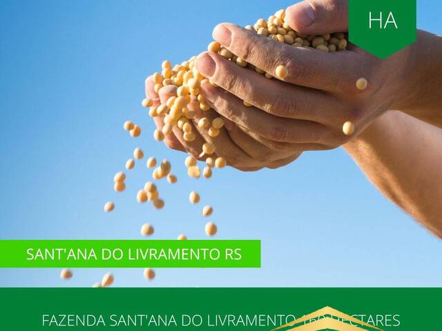 #870 - Fazenda para Venda em Santana do Livramento - RS