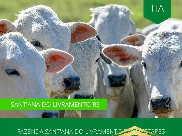 #871 - Fazenda para Venda em Santana do Livramento - RS