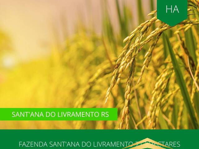 #872 - Fazenda para Venda em Santana do Livramento - RS