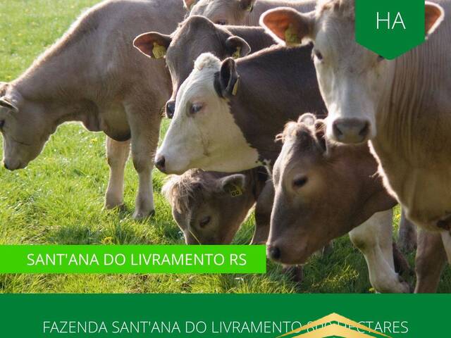 #873 - Fazenda para Venda em Santana do Livramento - RS