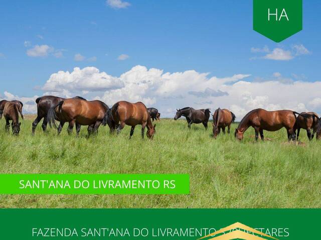 #874 - Fazenda para Venda em Santana do Livramento - RS