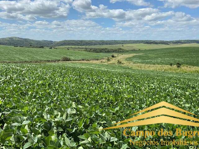 #875 - Fazenda para Venda em Santana do Livramento - RS