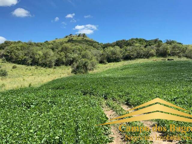 #875 - Fazenda para Venda em Santana do Livramento - RS